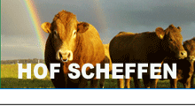 Scheffen