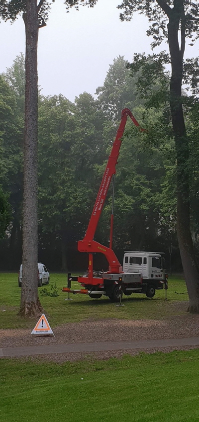 Forstwirt Mario Hall Gartenbetrieb - Forstbetrieb - Baumfllung - Problemfllung - Grobaumfllung - Grnanlagenpflege - Mharbeiten in Hachenburg Westerwald / WW 