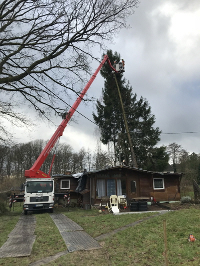 Forstwirt Mario Hall Gartenbetrieb - Forstbetrieb - Baumfllung - Problemfllung - Grobaumfllung - Grnanlagenpflege - Mharbeiten in Hachenburg Westerwald / WW 