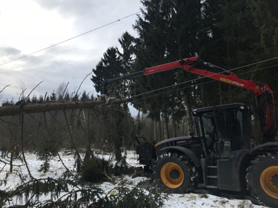 Forstwirt Mario Hall Gartenbetrieb - Forstbetrieb - Baumfllung - Problemfllung - Grobaumfllung - Grnanlagenpflege - Mharbeiten in Hachenburg Westerwald / WW 