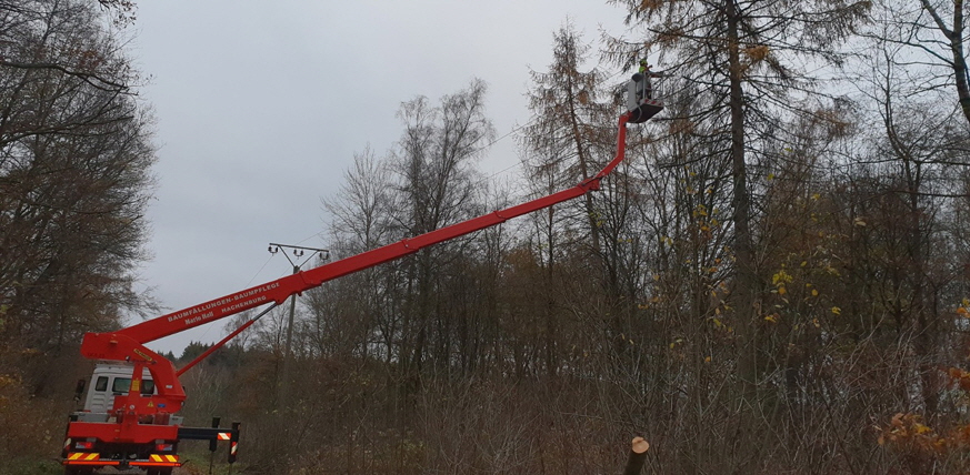 Forstwirt Mario Hall Gartenbetrieb - Forstbetrieb - Baumfllung - Problemfllung - Grobaumfllung - Grnanlagenpflege - Mharbeiten in Hachenburg Westerwald / WW 